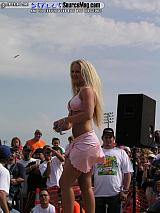 springfling Show Images Page 1